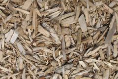 biomass boilers Langbar