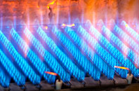 Langbar gas fired boilers